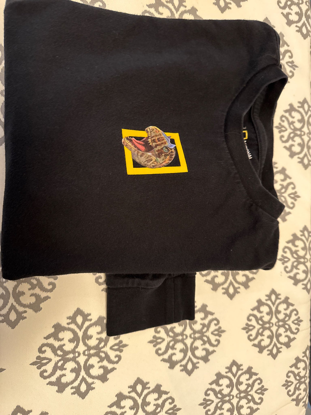 Dinosaur long sleeve t-shirt , Kids 8