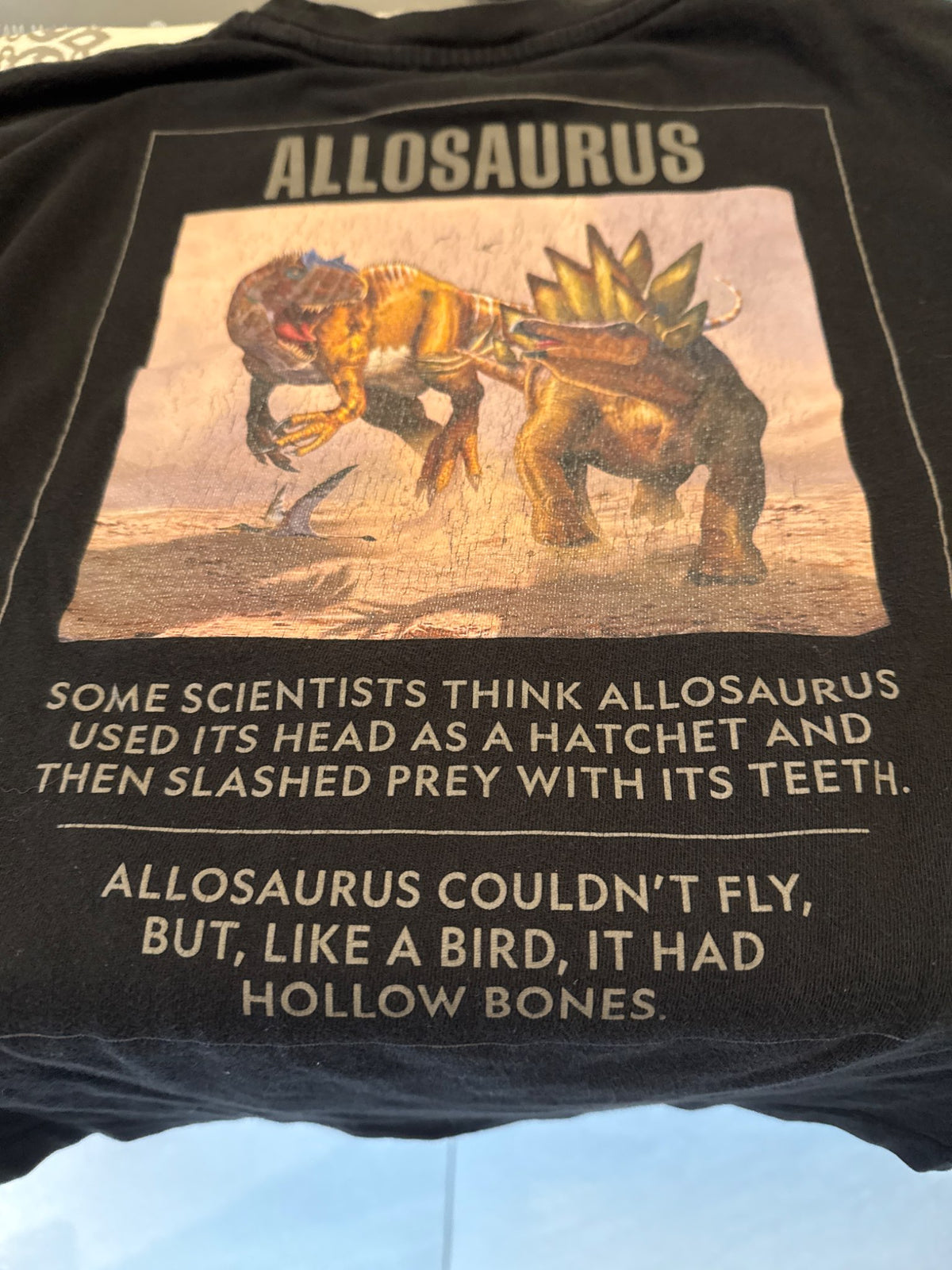 Dinosaur long sleeve t-shirt , Kids 8