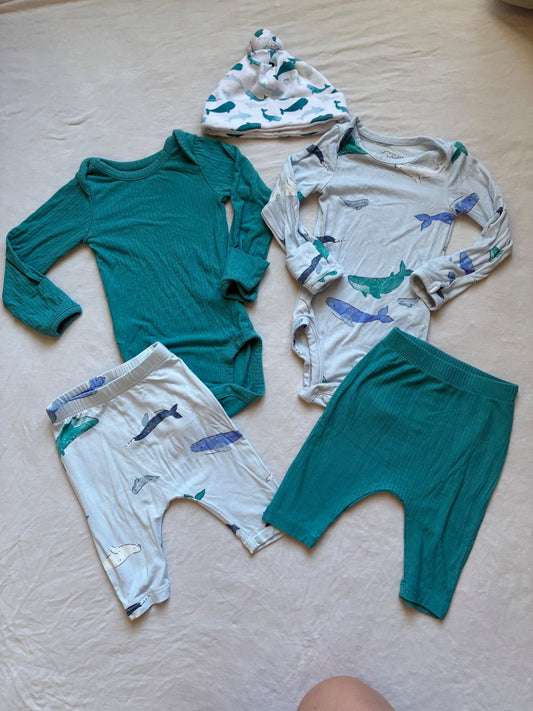 Set of 2 Carters Purely Soft NB Outfits , Kids Newborn