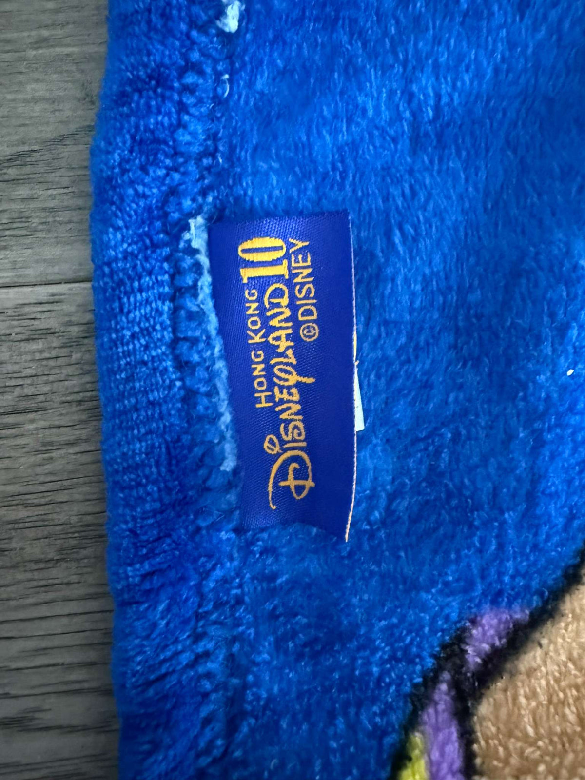 Hong Kong Disneyland 10th Anniversary Fleece Throw Blanket (#266)