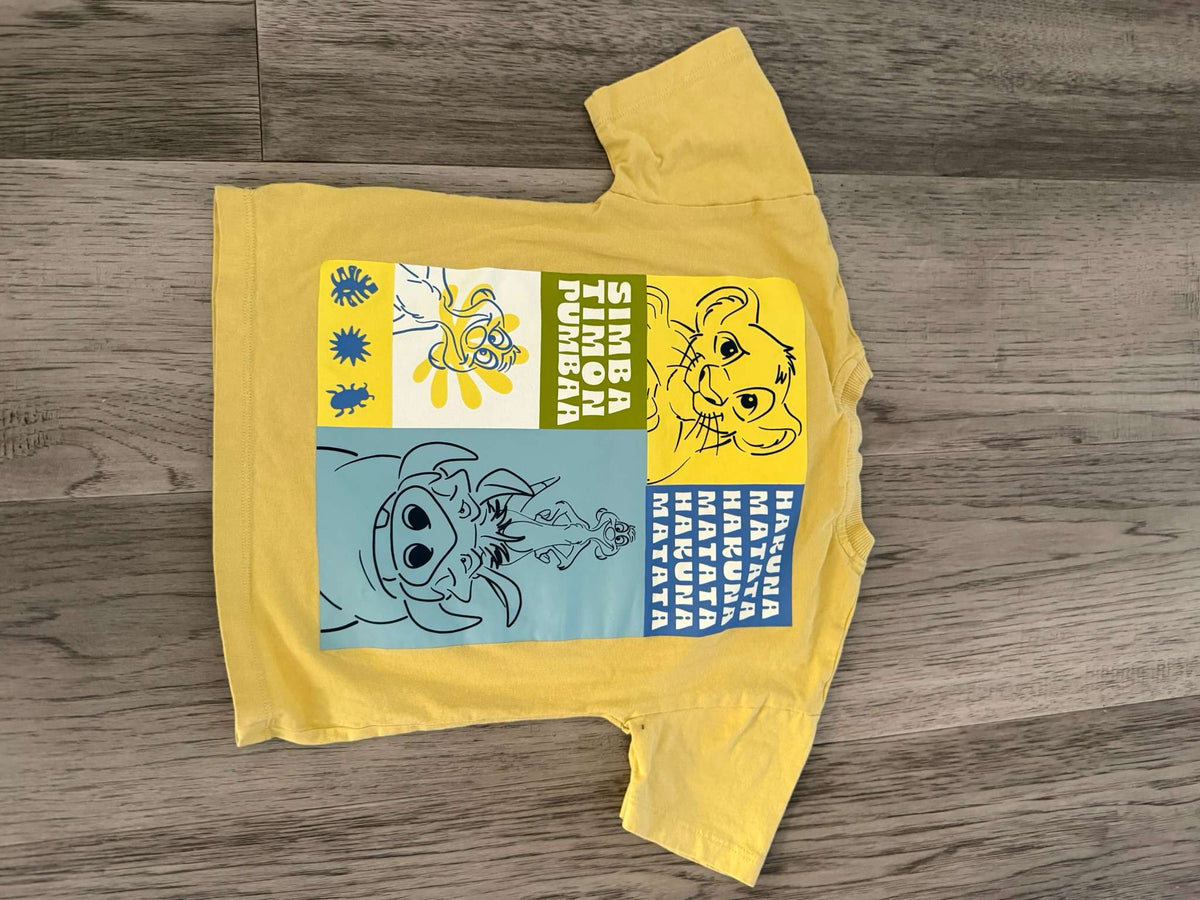Boys Disney Bundle with Shorts 3T (138), Kids 3T
