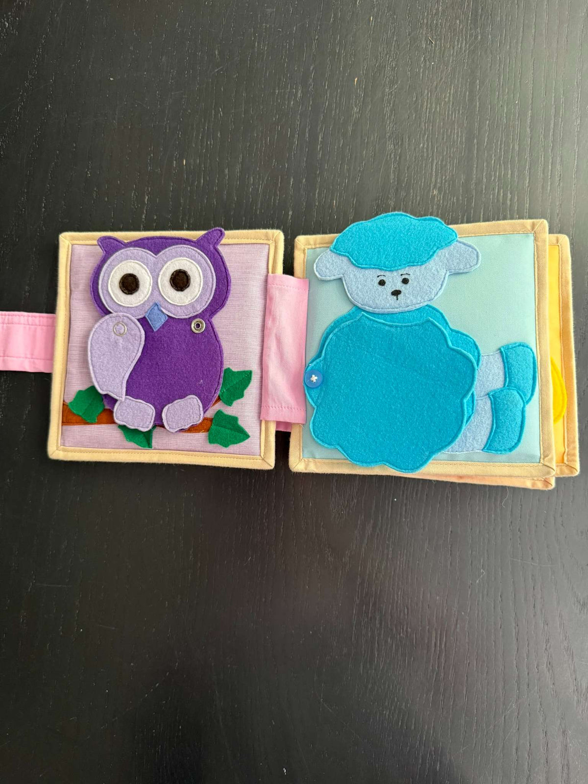 Educating Amy Felt Quiet Book