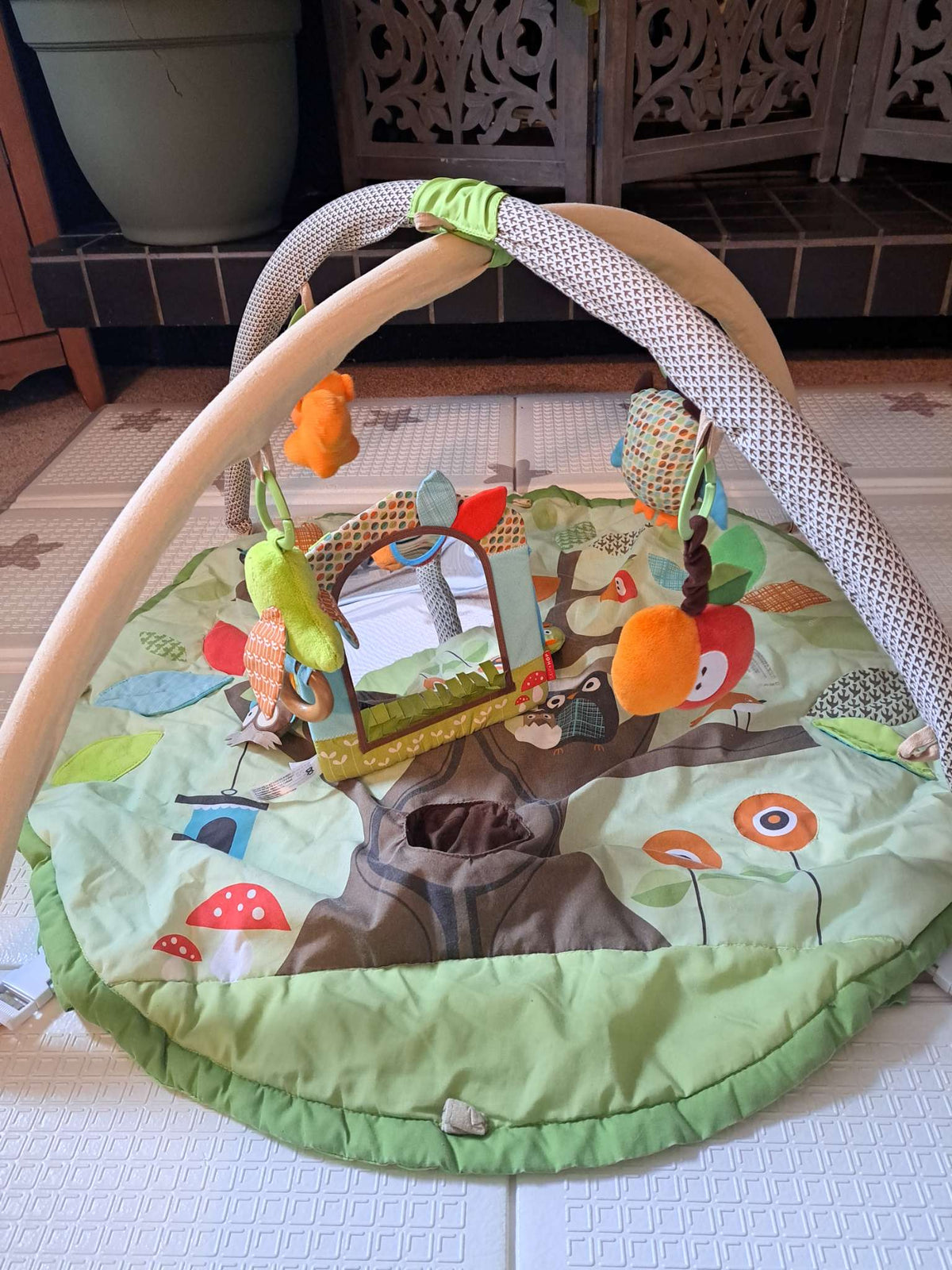 Skip Hop Gym with Playmat