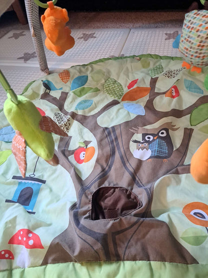 Skip Hop Gym with Playmat