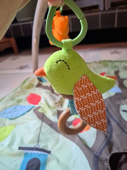 Skip Hop Gym with Playmat