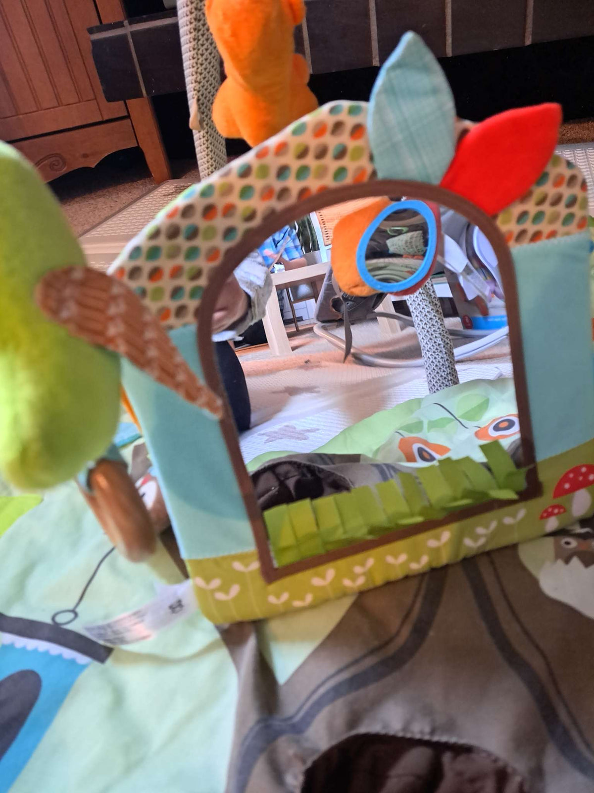 Skip Hop Gym with Playmat