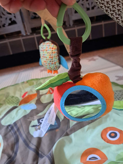 Skip Hop Gym with Playmat