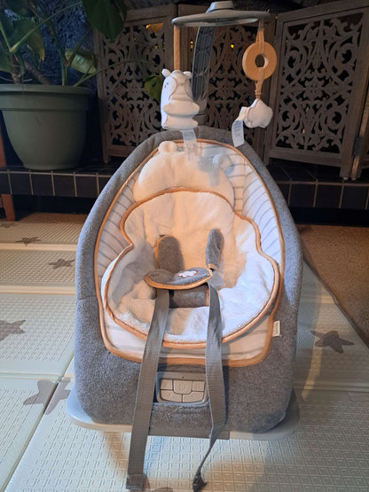 Ingenuity Baby Rocker (0-30 months)