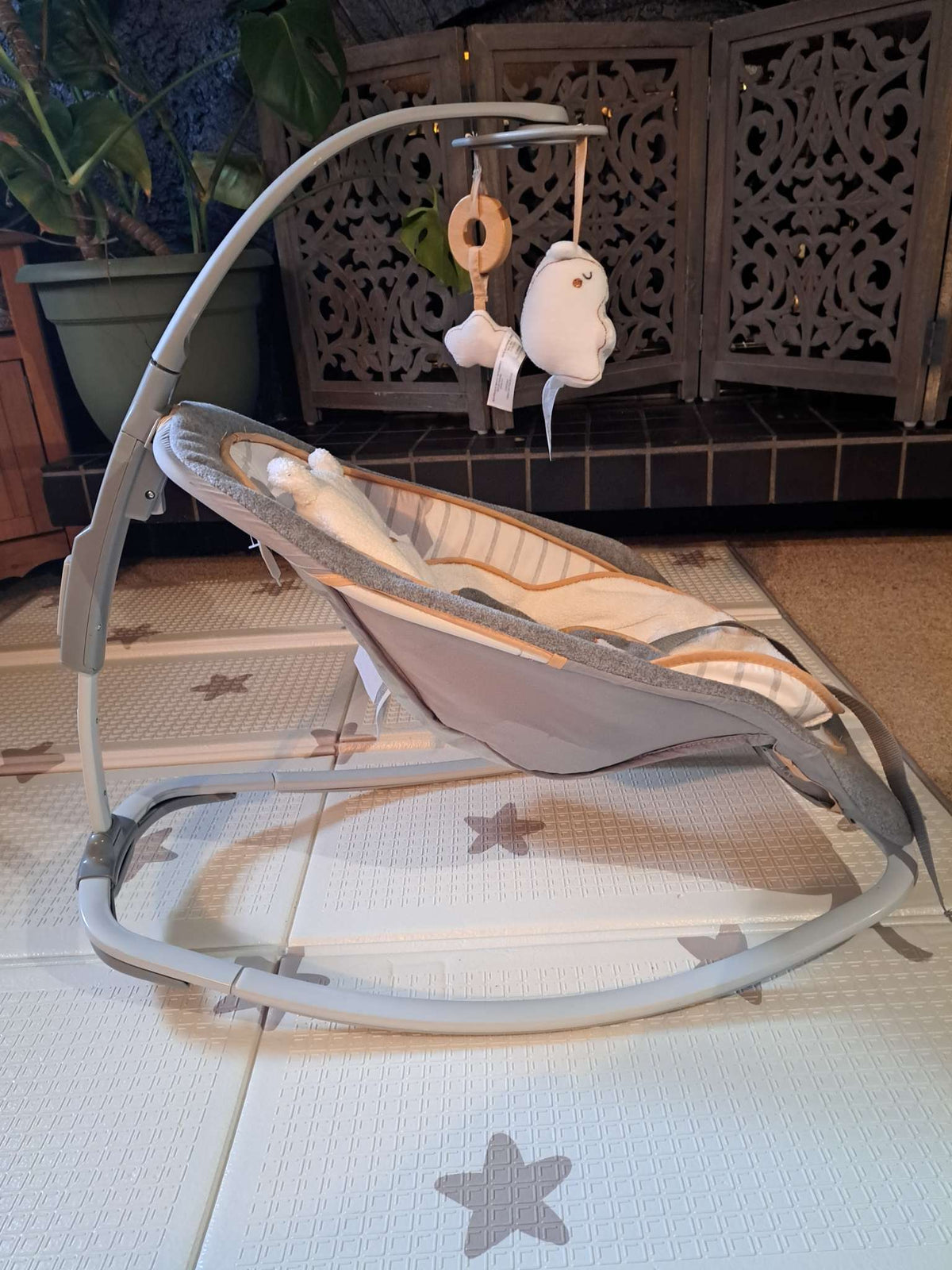Ingenuity Baby Rocker (0-30 months)