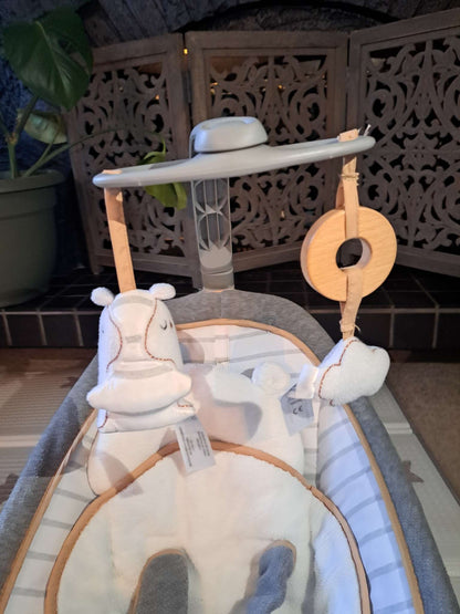 Ingenuity Baby Rocker (0-30 months)