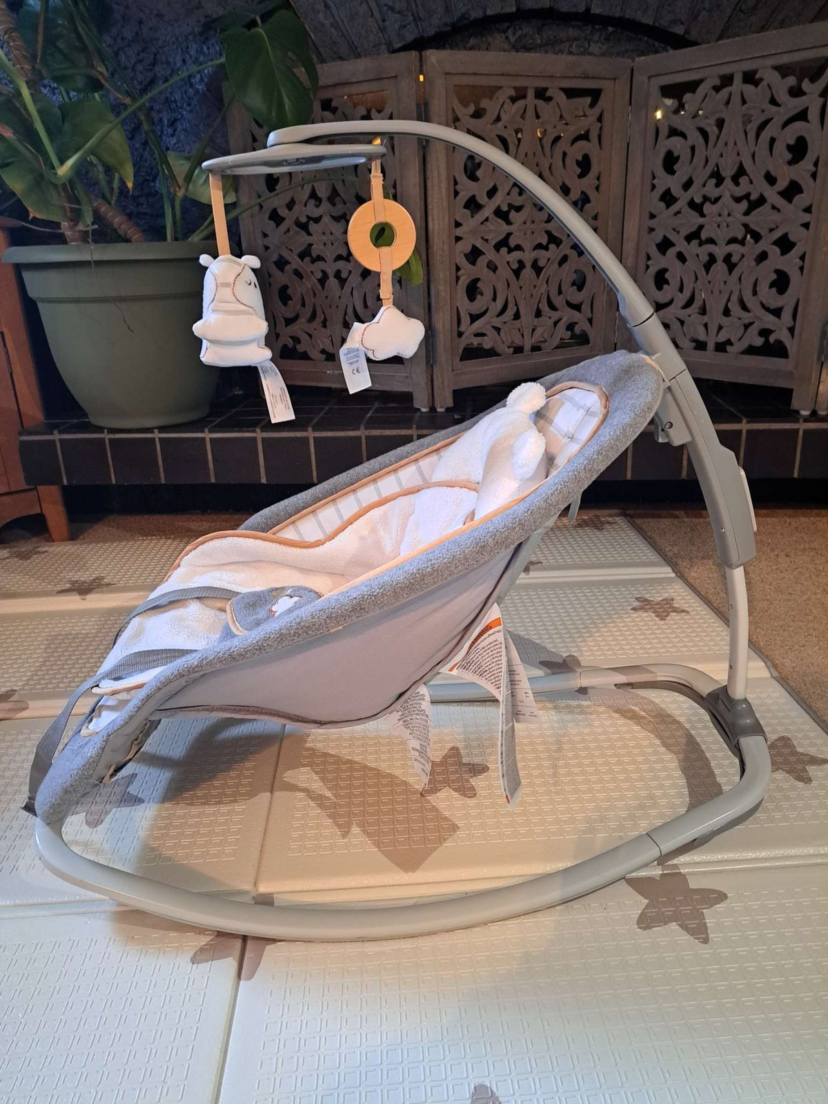 Ingenuity Baby Rocker (0-30 months)