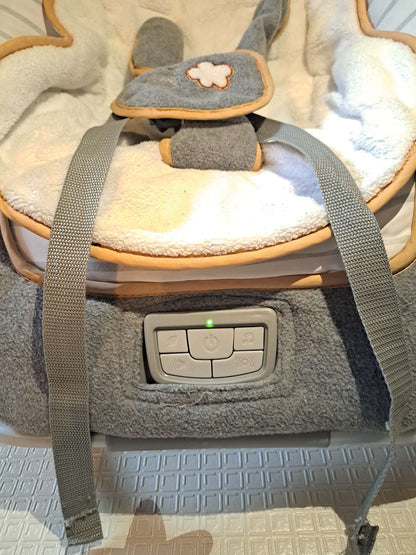 Ingenuity Baby Rocker (0-30 months)