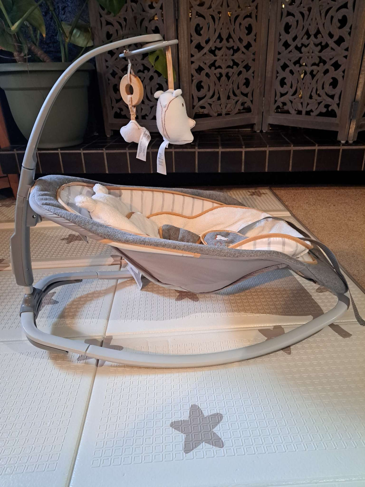 Ingenuity Baby Rocker (0-30 months)