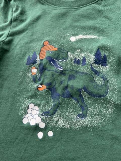 Cat & Jack long sleeve boys shirt (dinosaur), Kids 4/4T