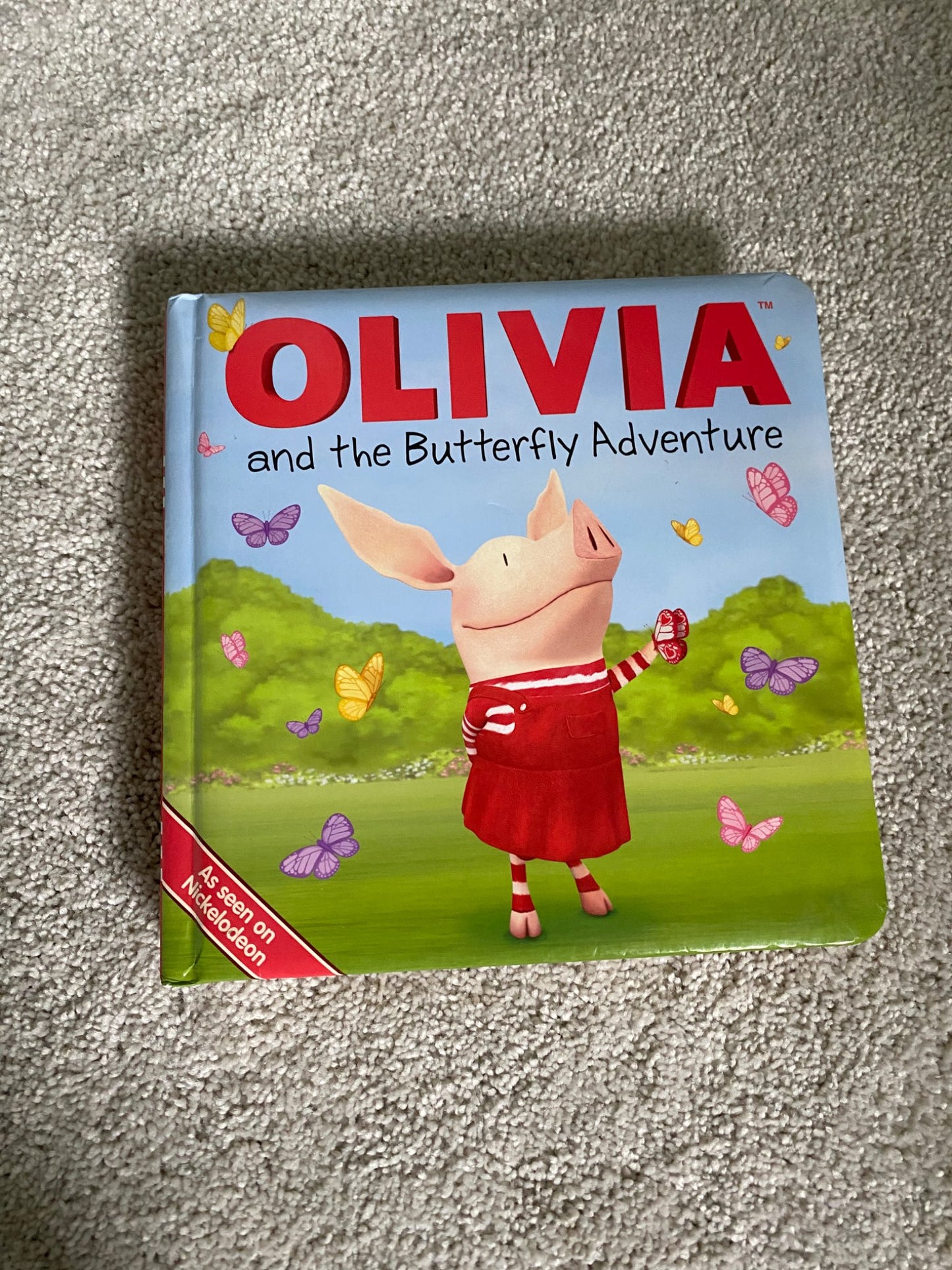 Olivia’s Butterfly Adventure