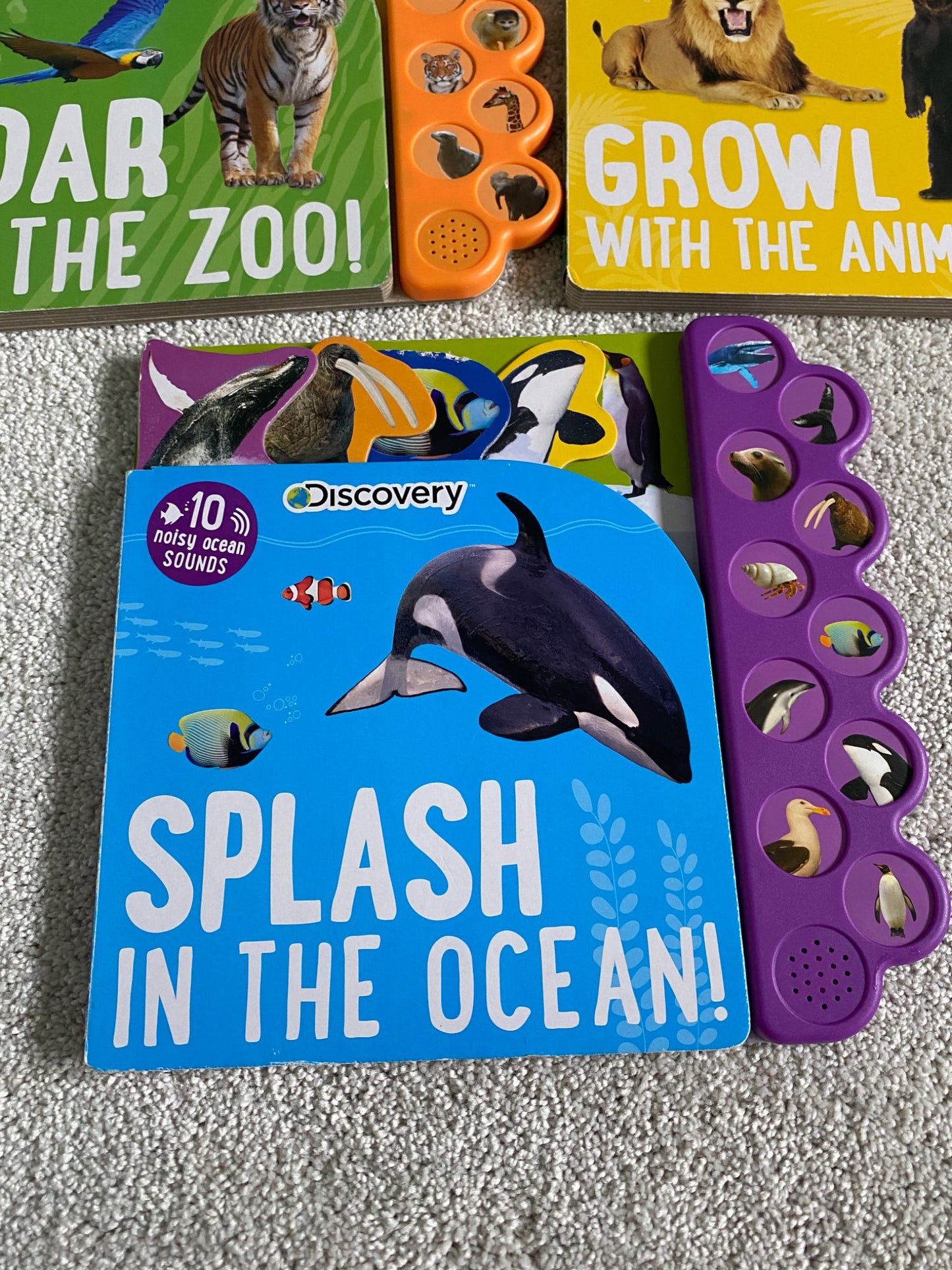 Discovery Animal Book Set