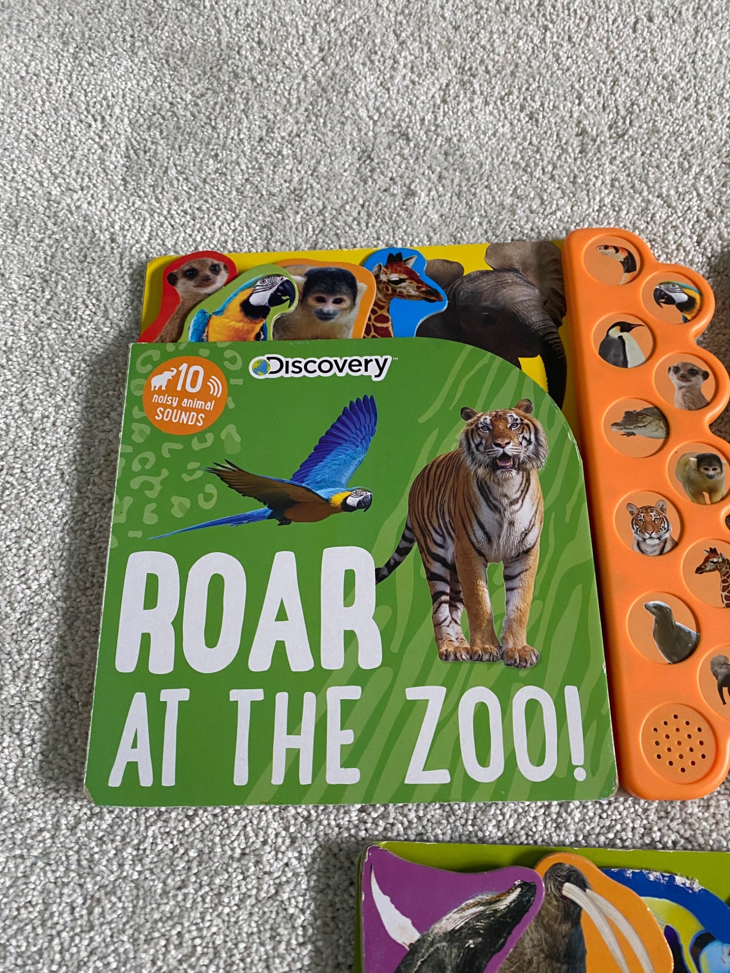 Discovery Animal Book Set