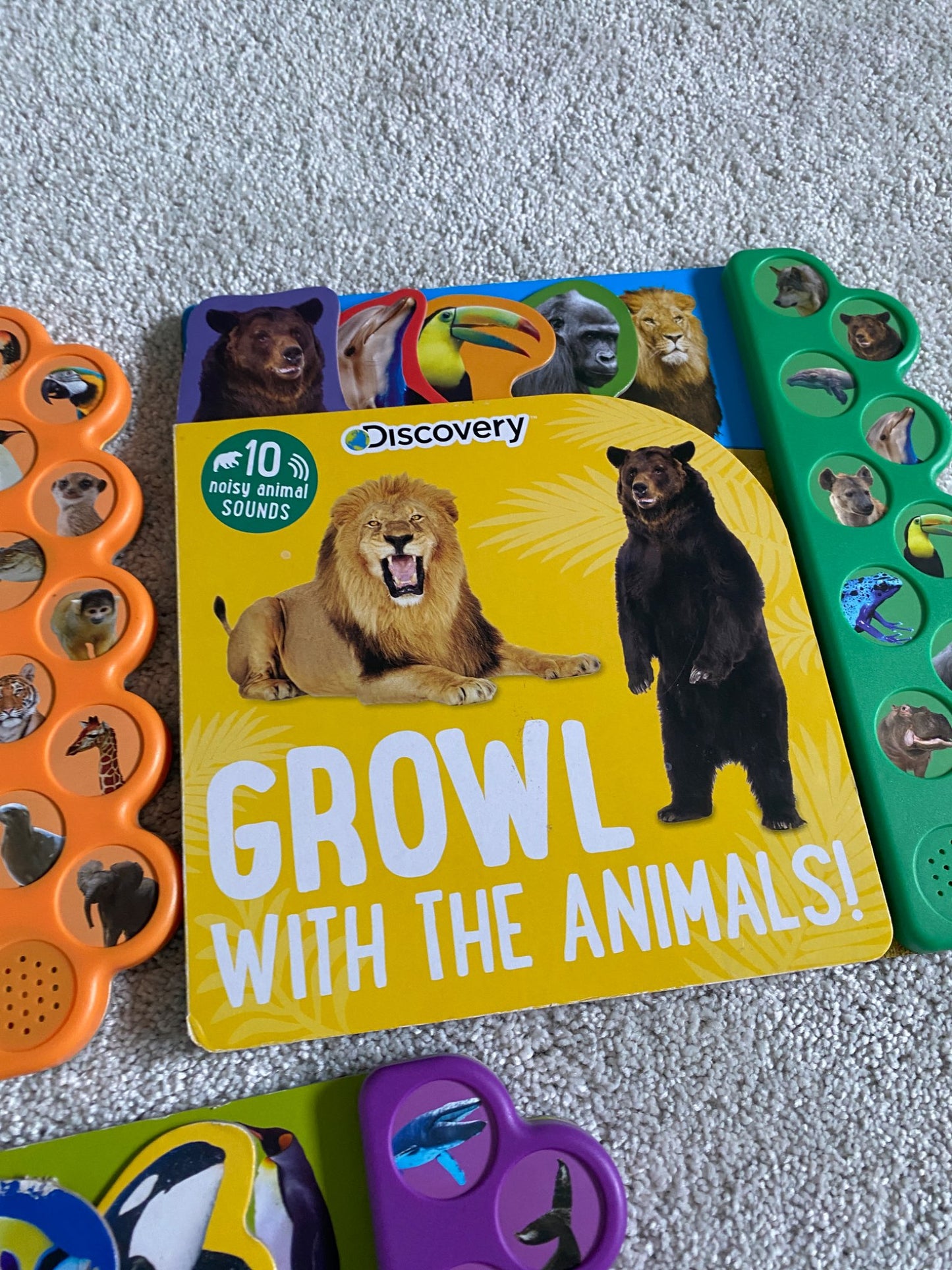 Discovery Animal Book Set