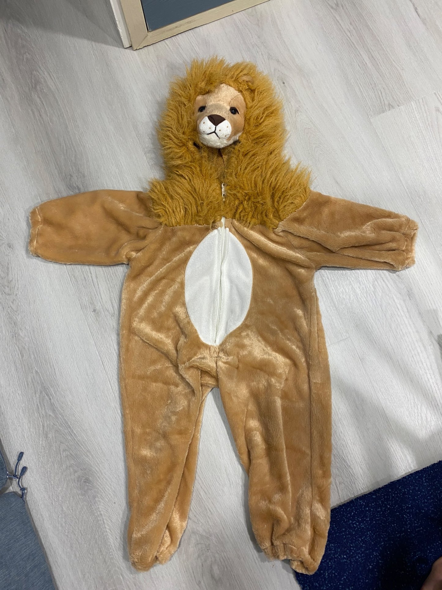 Lion Costume , Kids 3T