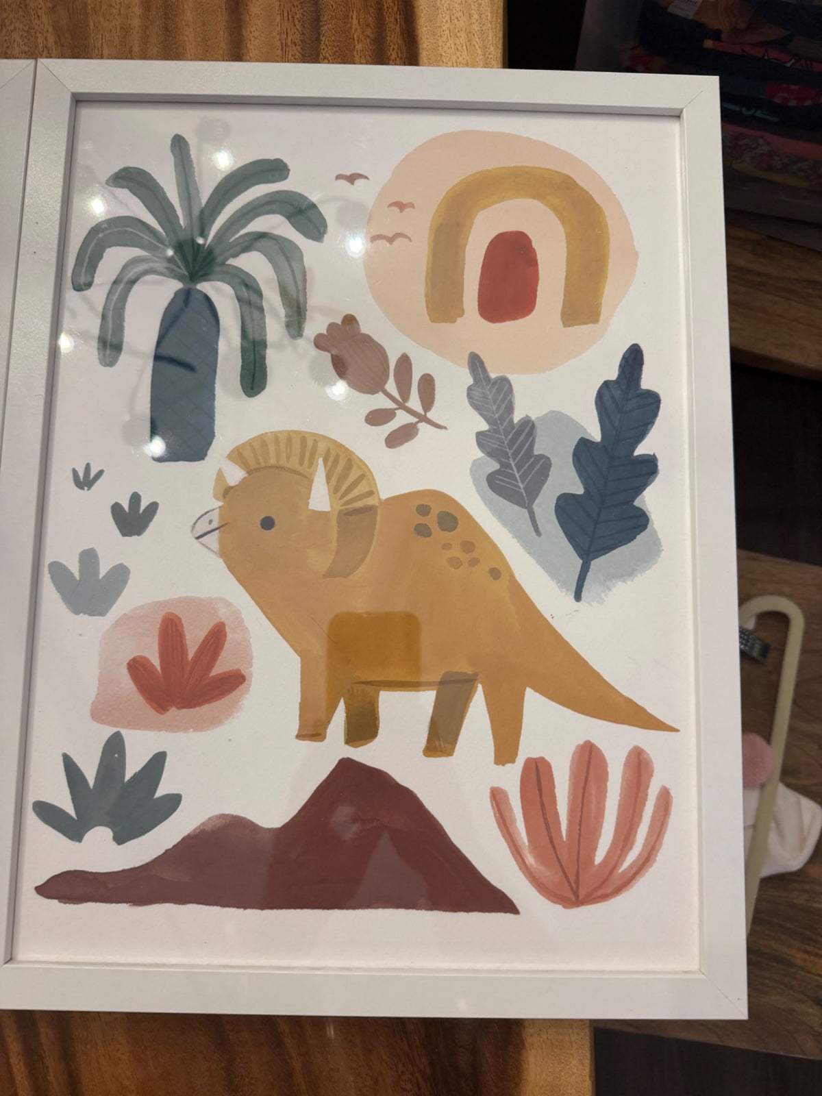 Set of 3 - Dinosaur prints with frames