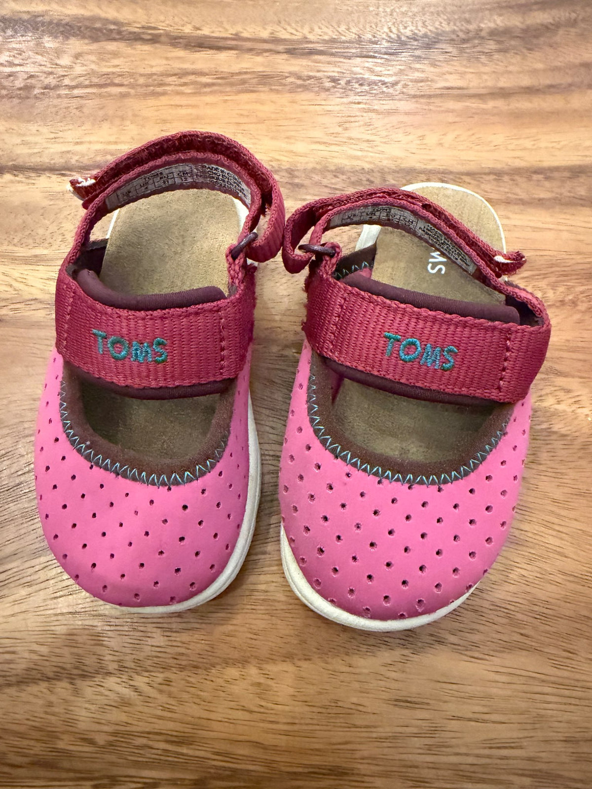 Toms baby shoe , Shoes 5 (Walkers:12-24 mth)