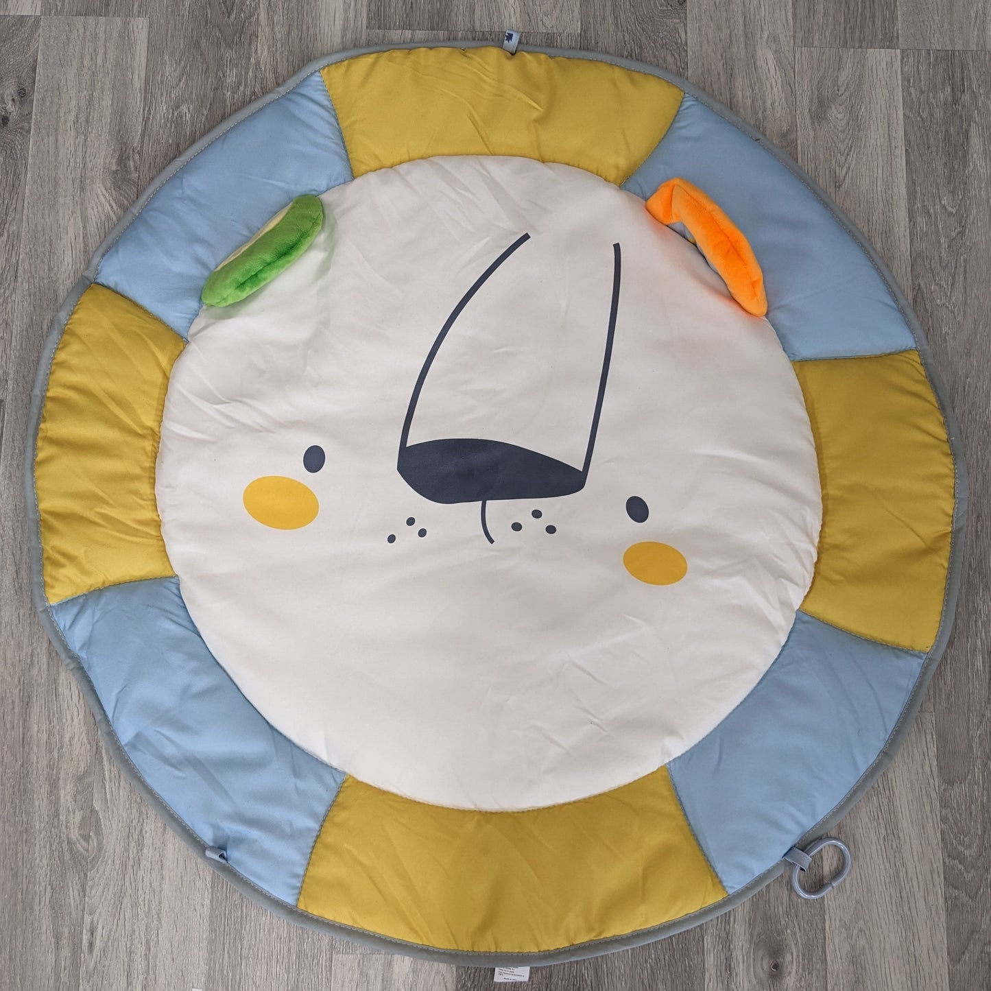 Lion Play Mat