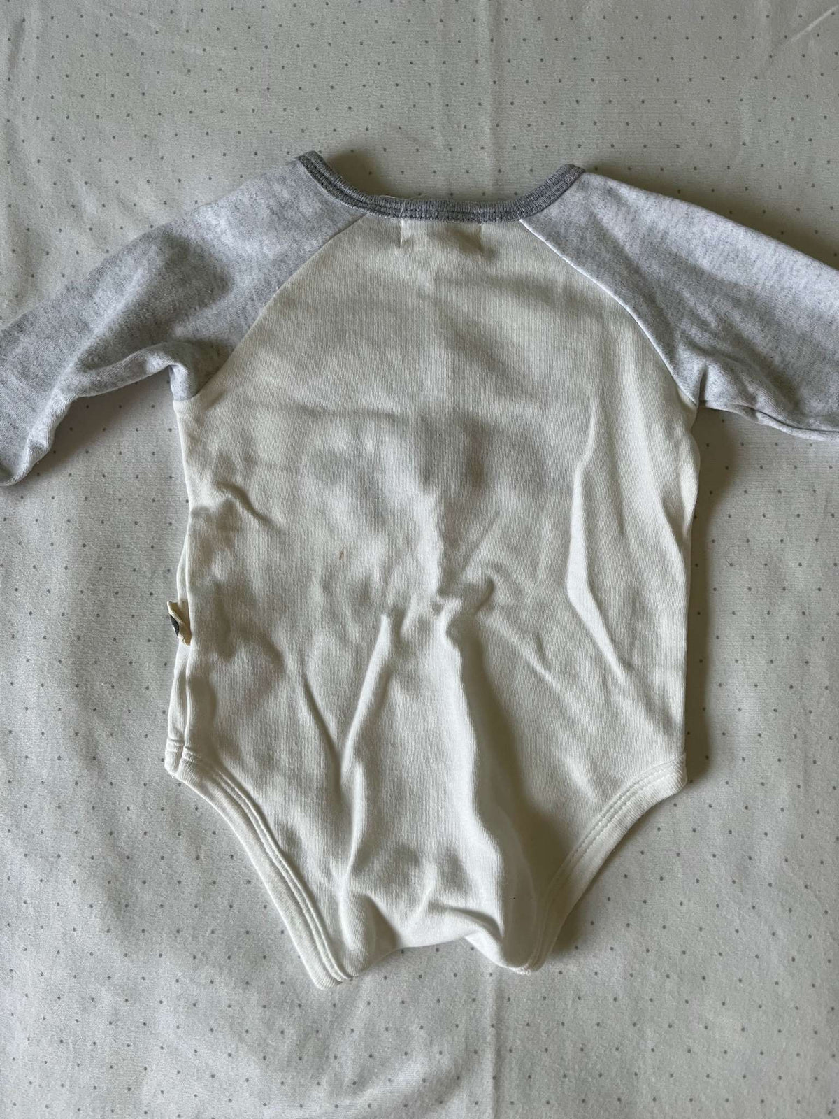Rabbit + Bear Organic Set of 2 Long Sleeve Onesies - 0-3 months, Kids 3 Month (0-3M)