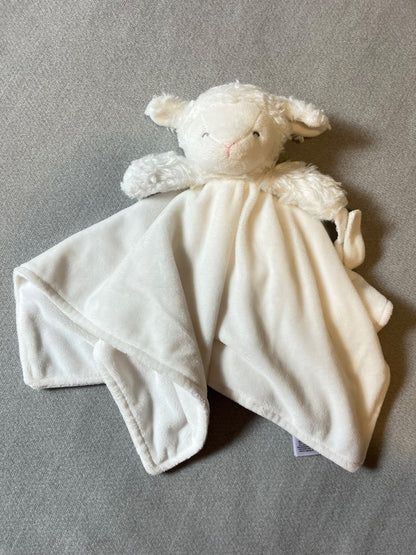 Baby girls blanket