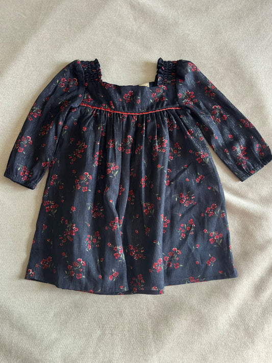 Fancy dress , Kids 18 Month (12-18M)