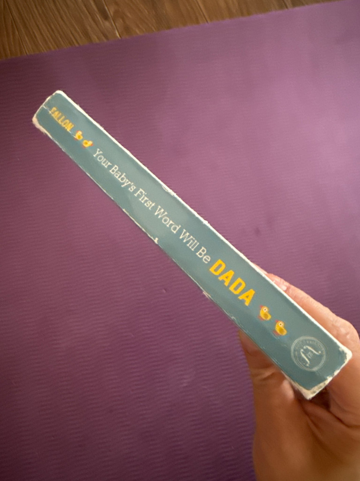 Jimmy Fallon MAMA DADA Book bundle