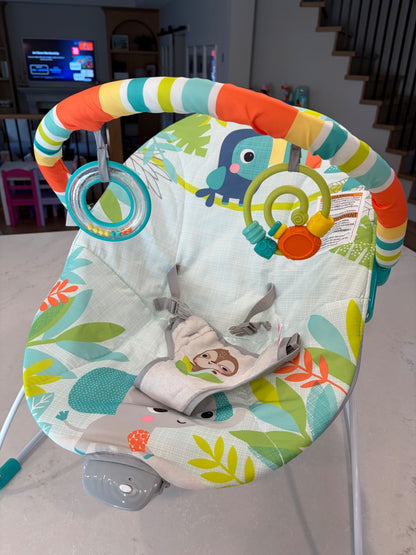 Bright Starts Baby Bouncer