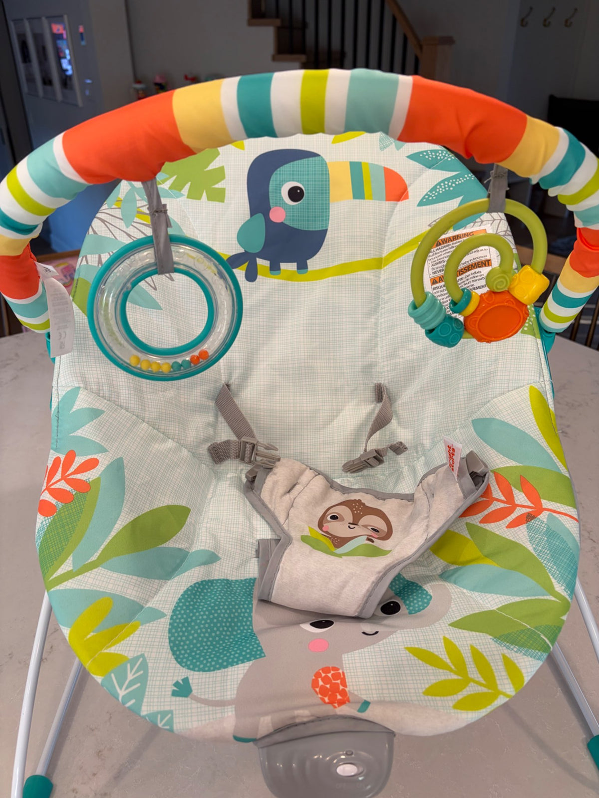 Bright Starts Baby Bouncer