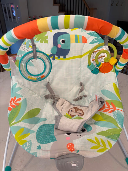 Bright Starts Baby Bouncer
