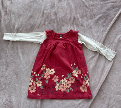 Tea collection long sleeve dress (size 3), Kids 3T