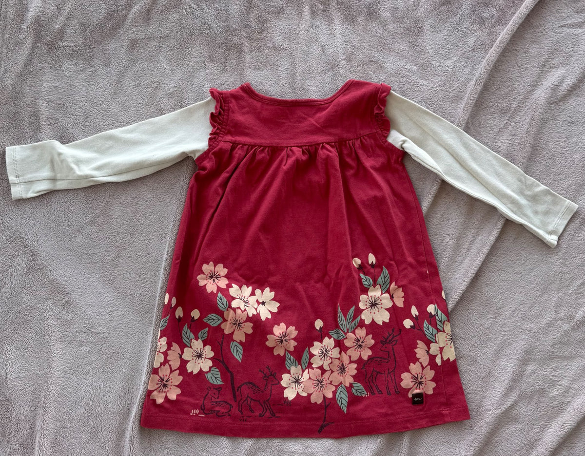 Tea collection long sleeve dress (size 3), Kids 3T