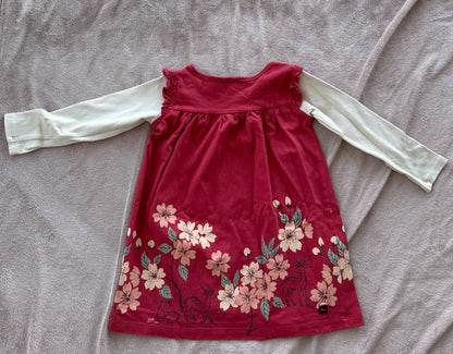 Tea collection long sleeve dress (size 3), Kids 3T