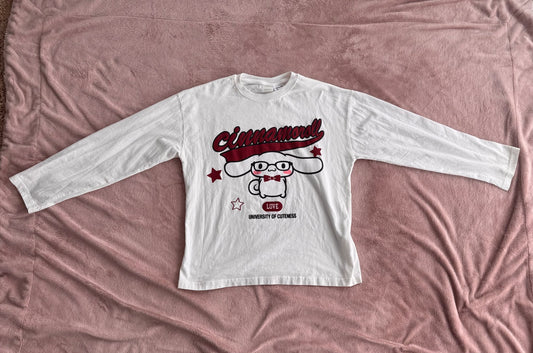 Size 11-13 Zara Cinnamoroll Long sleeve graphic T shirt , Kids 12