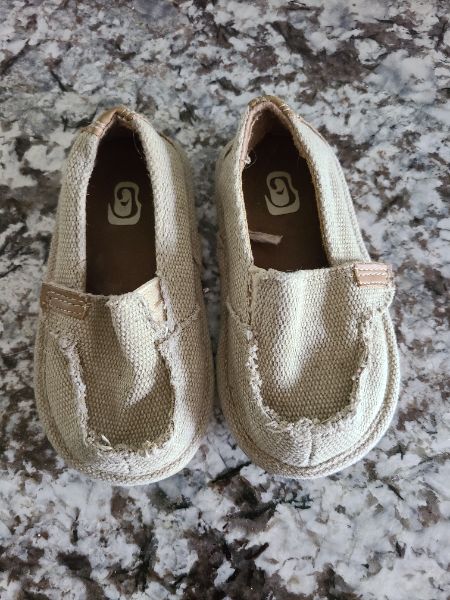 Size 6 shoes, Shoes 6 (Walkers:12-24 mth)