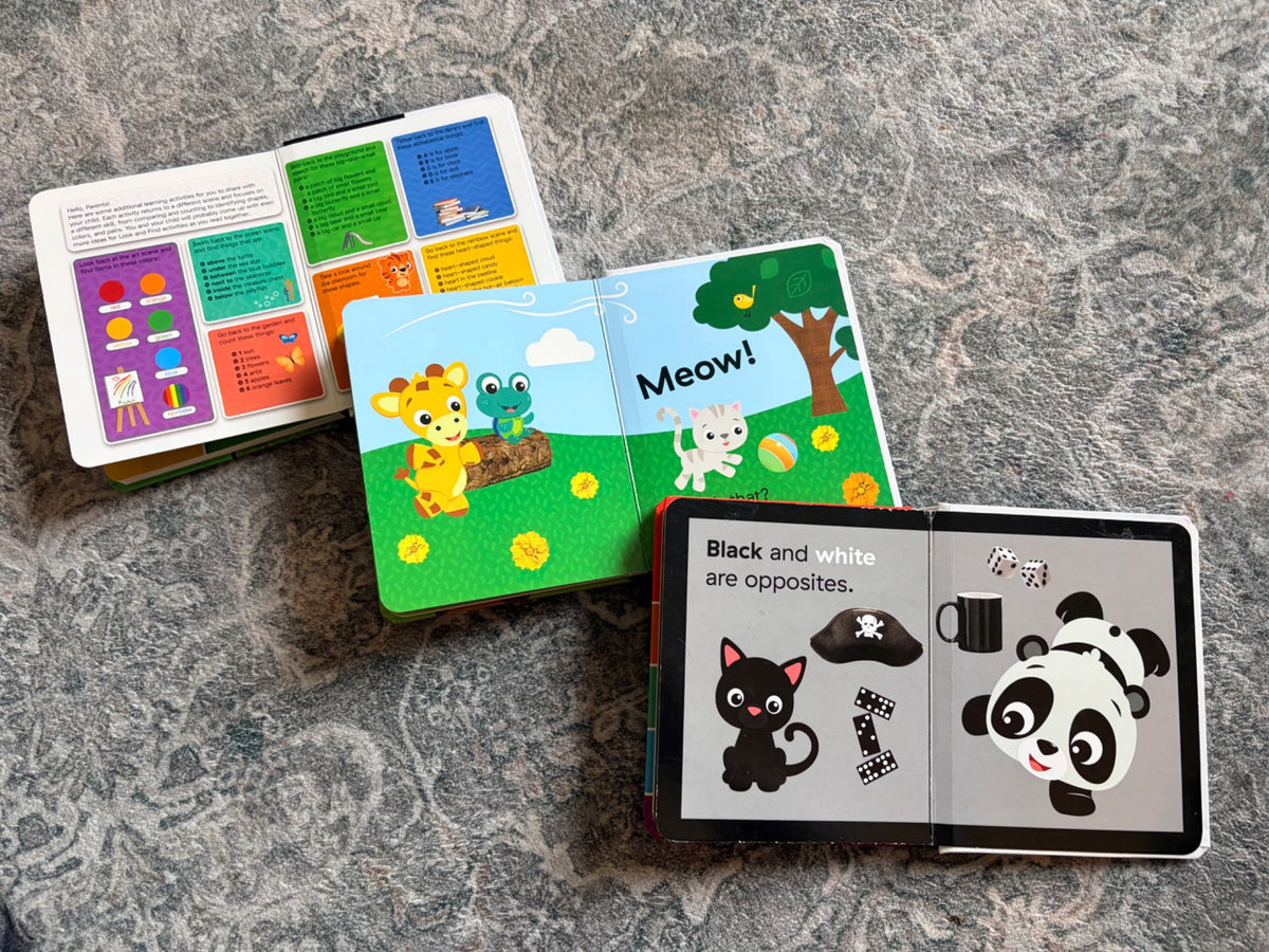 Baby Einstein Board Book Set