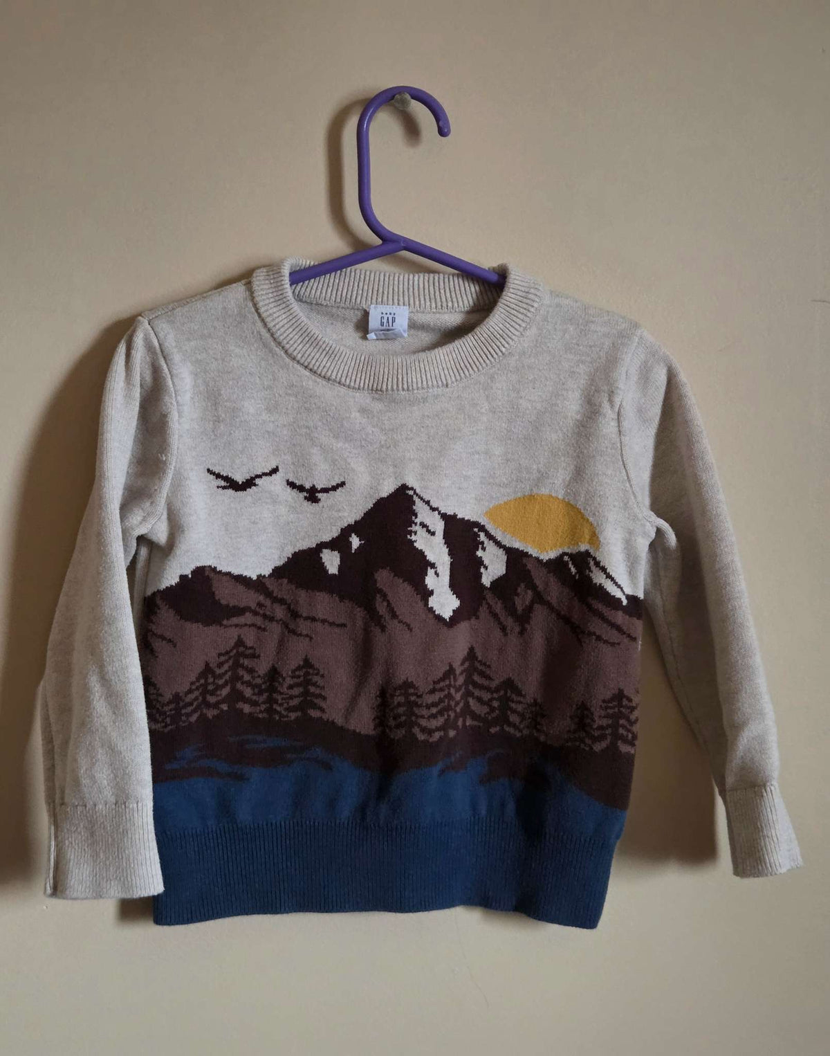 Gap Toddler Mountain Sweater Size 3, Kids 3T