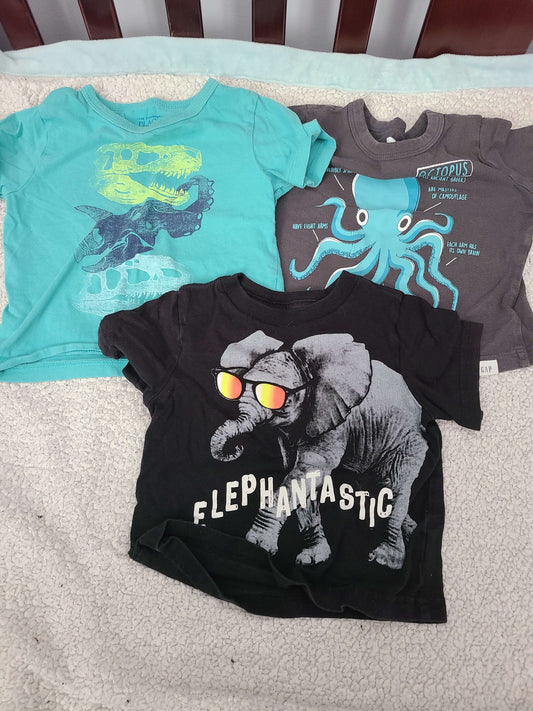 12 to 18 month t shirts , Kids 18 Month (12-18M)