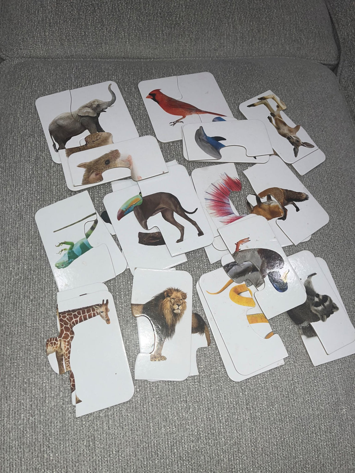 15 Matching animal puzzles