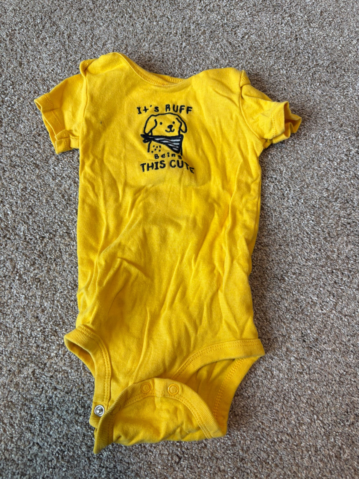 Puppy outfit , Kids 9 Month (6-9M)