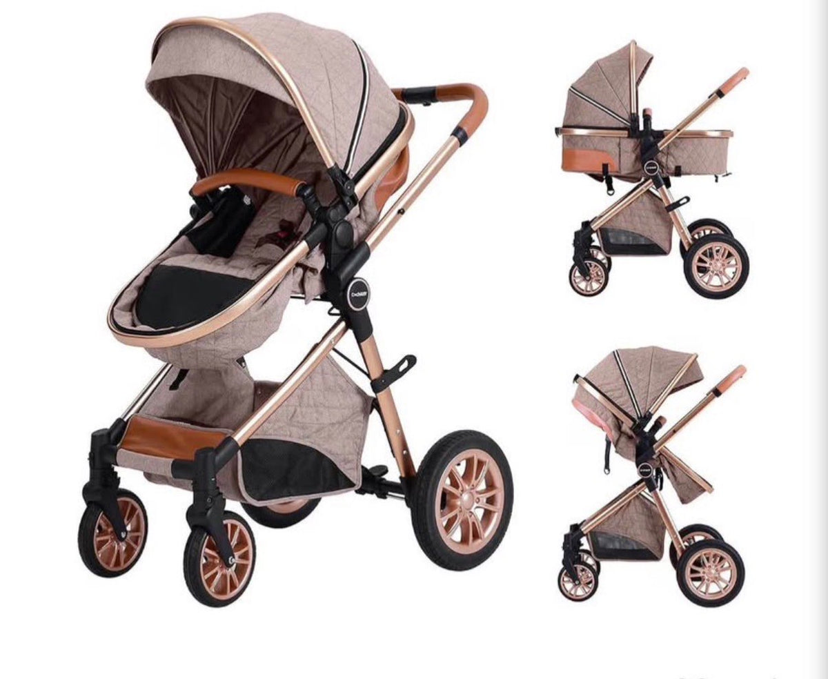 2 in 1 Baby Stroller