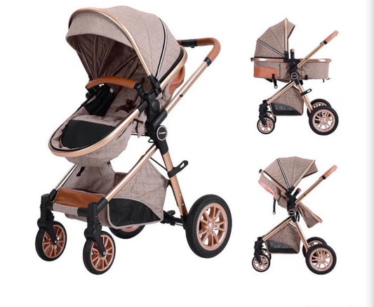 2 in 1 Baby Stroller