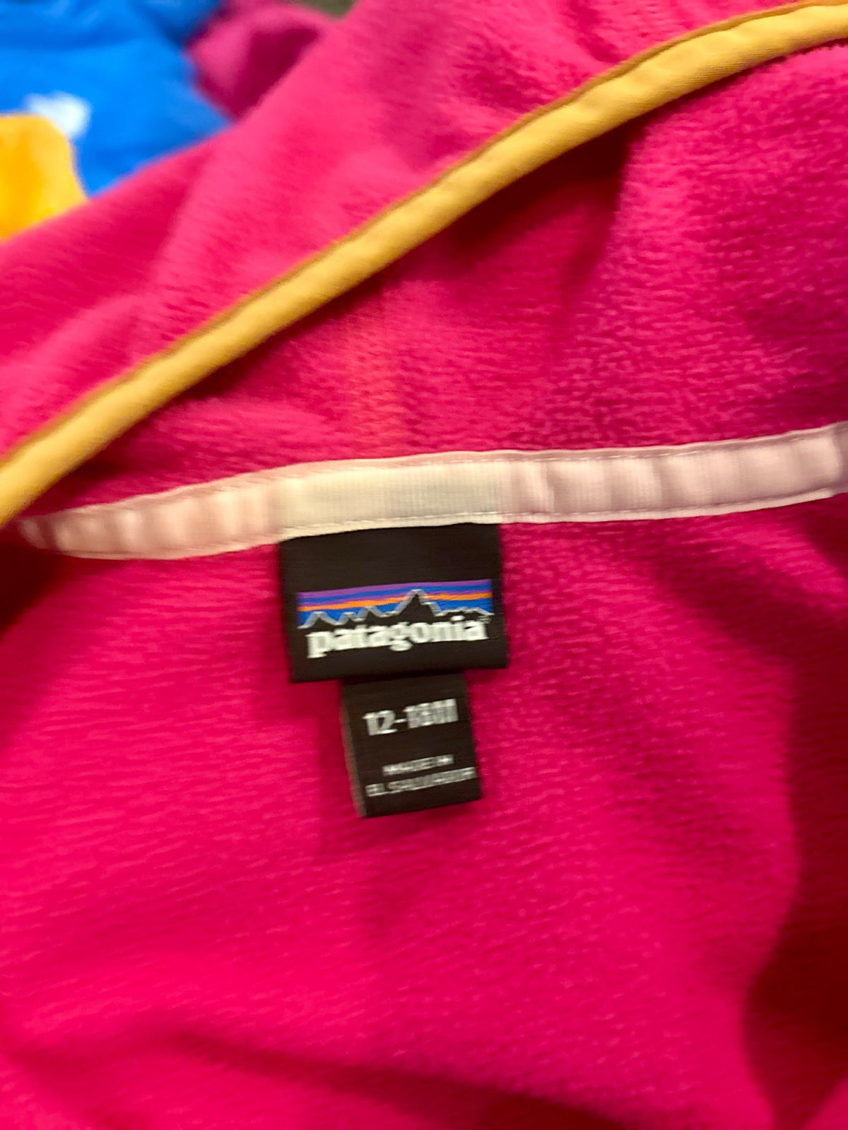 Patagonia fleece jacket, Kids 18 Month (12-18M)