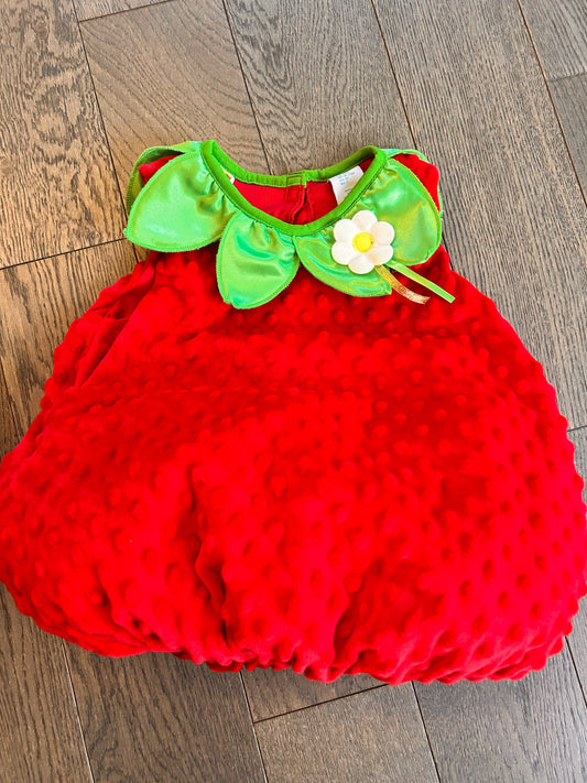 Strawberry costume, Kids 2T
