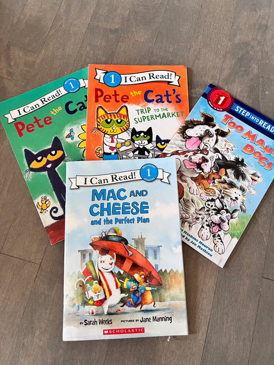 Level 1 book bundle