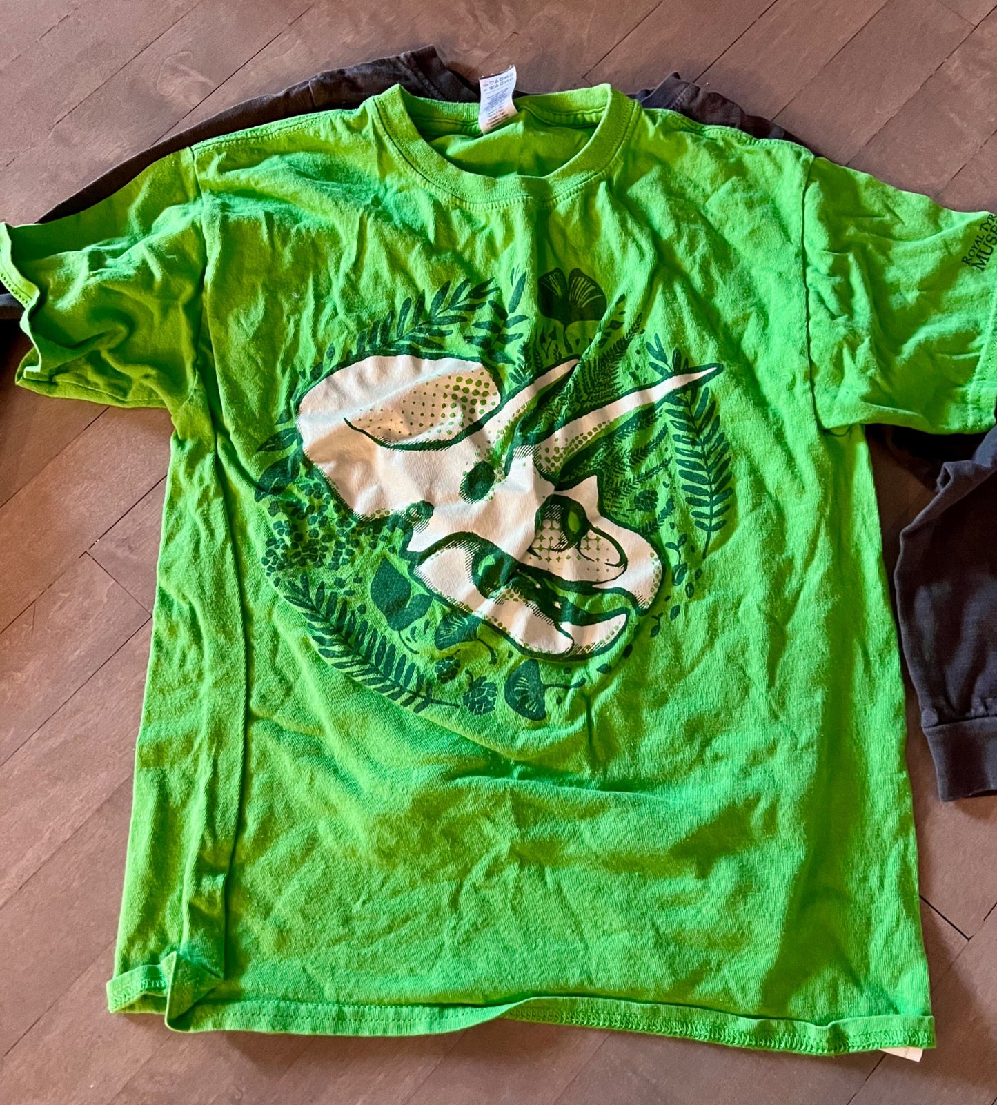 Large tee shirt bundle, Kids 12 & 14 (large)