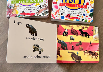 I Spy book bundle
